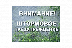 Объявлено штормовое предупреждение из-за ветра