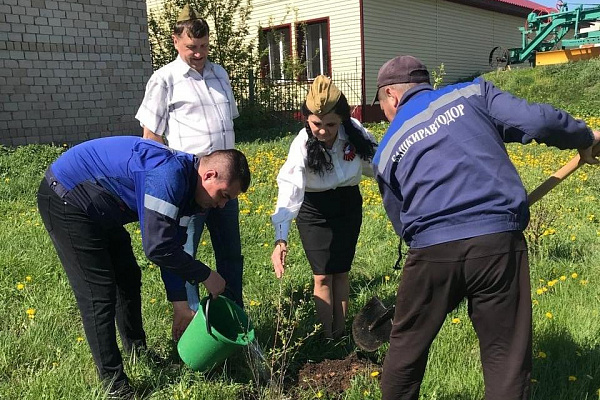 Сотрудники филиалов АО "Башкиравтодор" присоединились к международной акции «Сад памяти» 