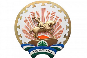 Поздравление генерального директора АО «Башкиравтодор» А.С.Пролипото с Днем Республики Башкортостан 
